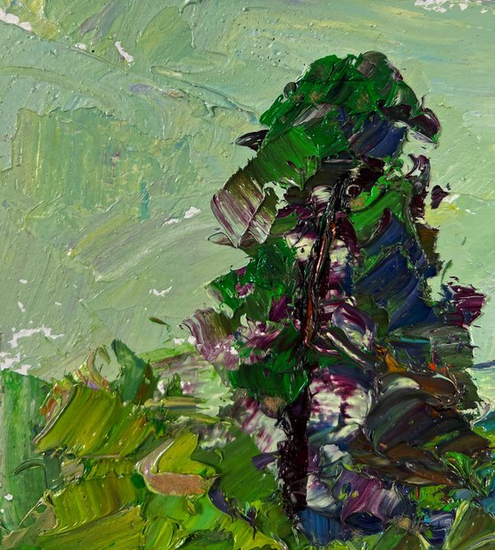 The Road to the Green Dense Forest