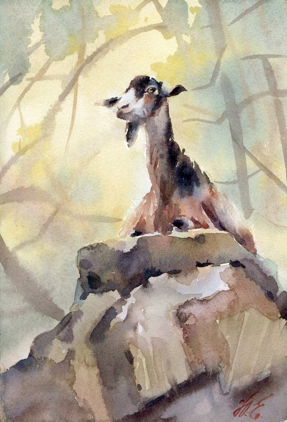 Wild goat in the Avakas gorge Watercolor nature of Cyprus