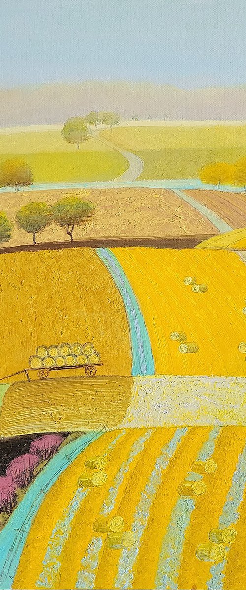 Hay Rolls by Vadim Vaskovsky