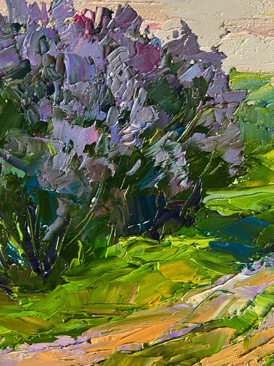 Flowers along the Road