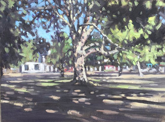 Tree shadows, Wandsworth Common