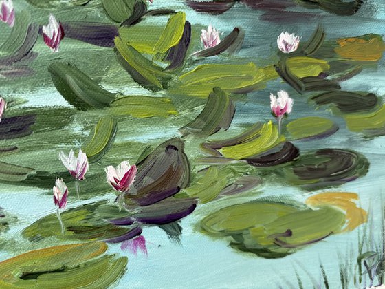 Water Lilies on the Quiet Pond