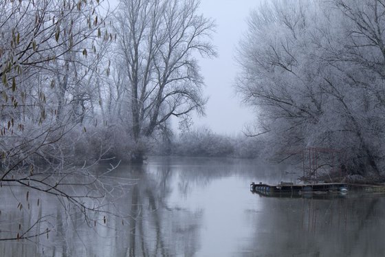 Cold stillness