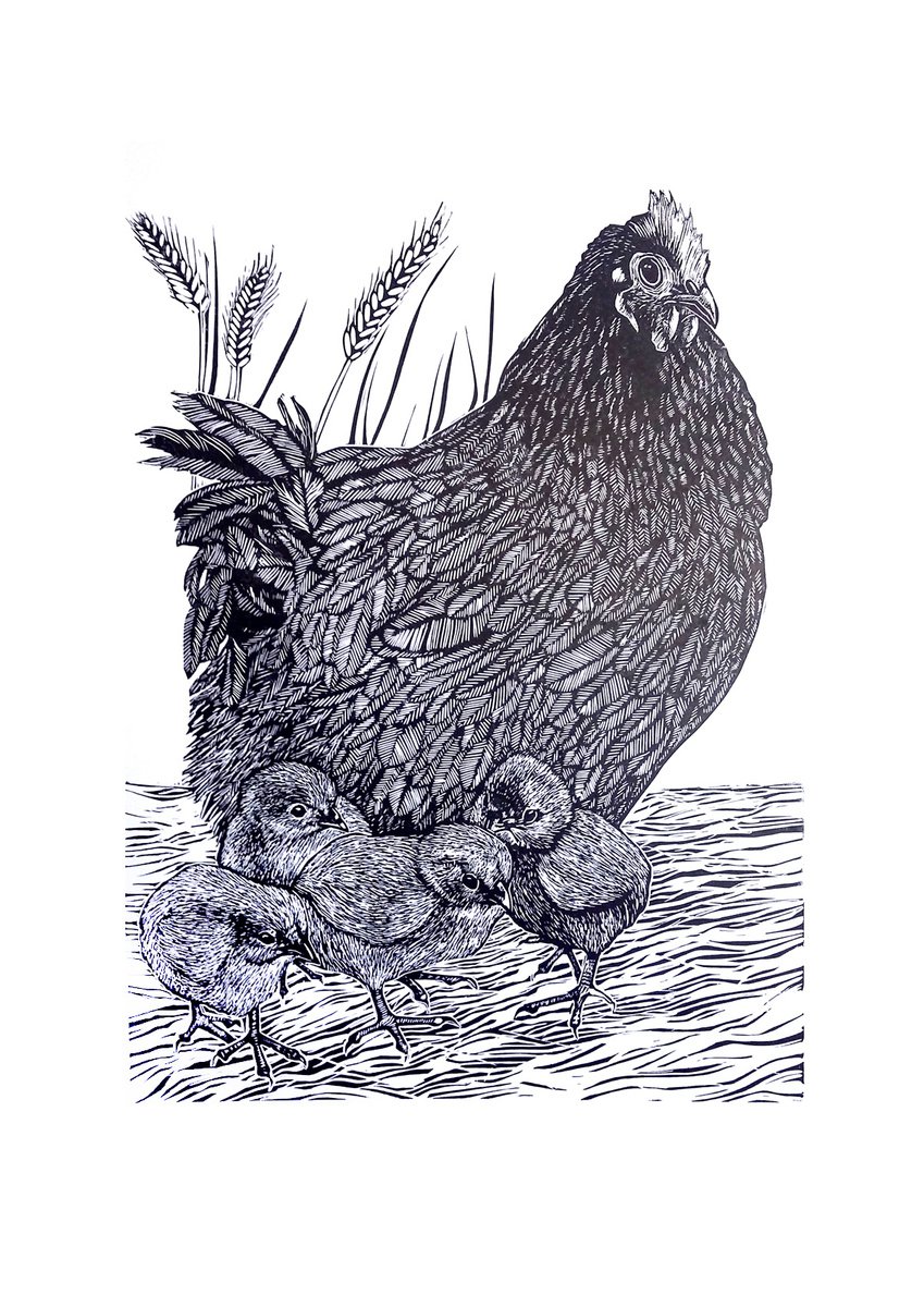 Mother knows best (chicken and chicks linoprint) by Carolynne Coulson