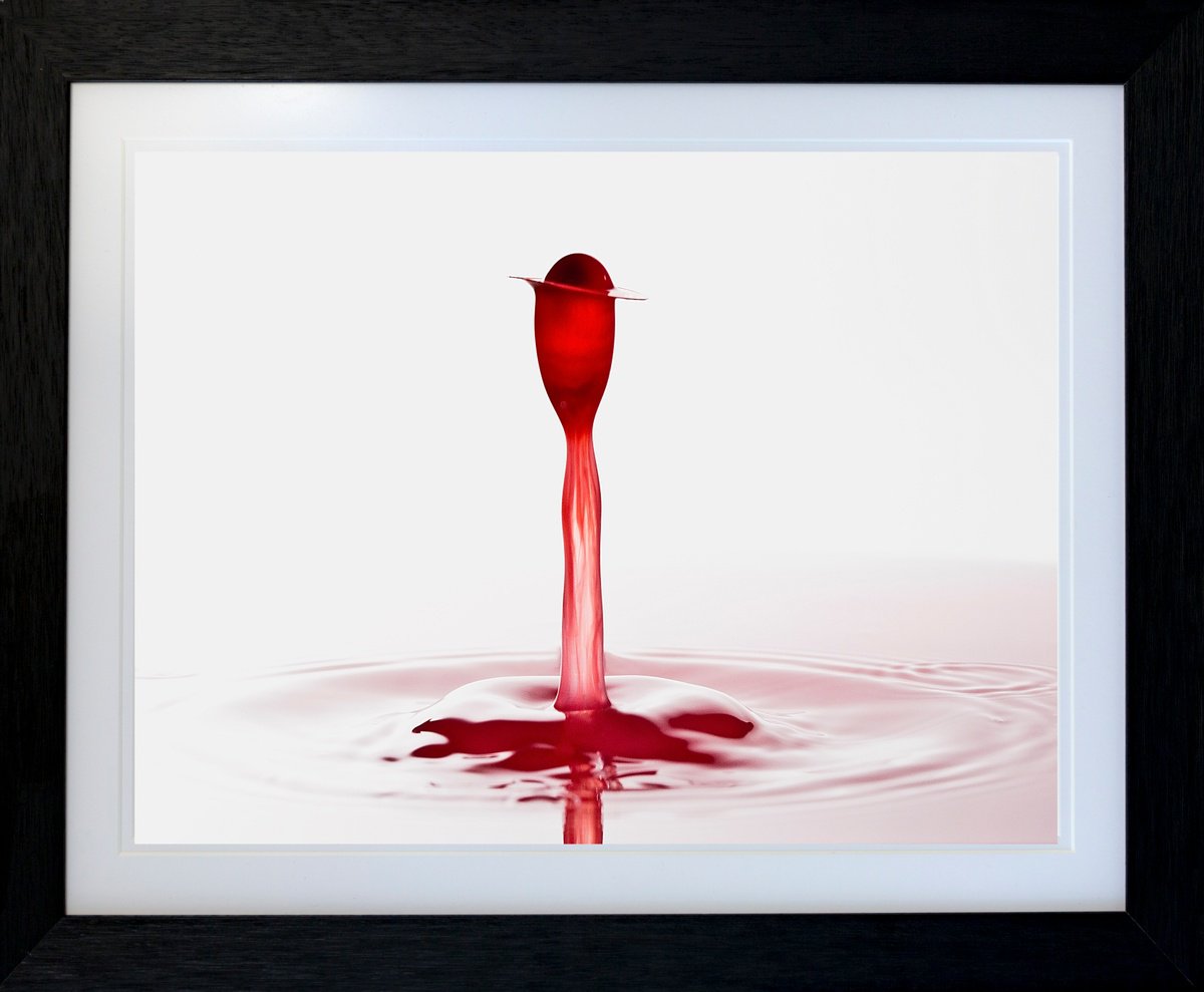 Abstract Photograph ,