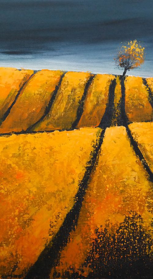The Oranges and the storm - Fields and Colors Series by Danijela Dan