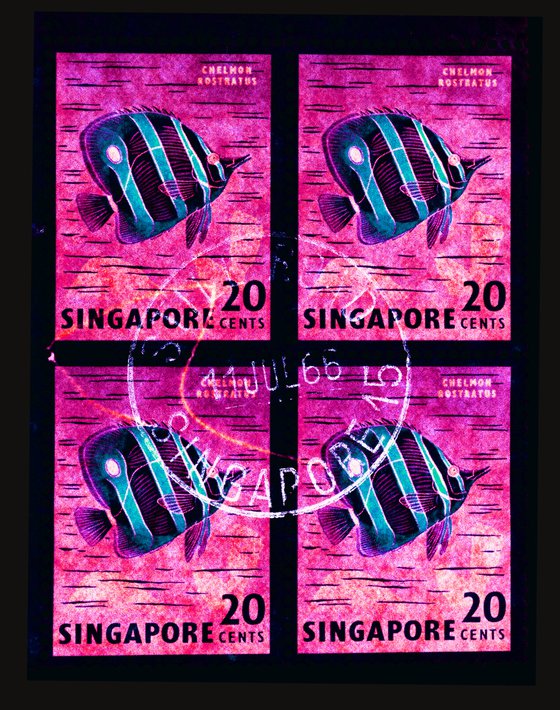 Singapore Stamp Collection '20 Cents Singapore Butterfly Fish' (Hot Pink)