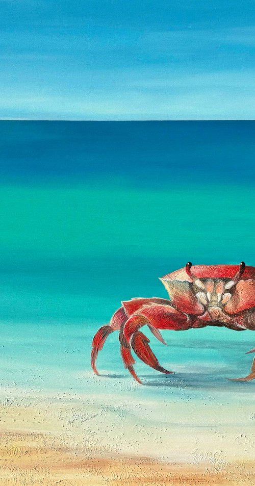 "Crab" by OXYPOINT