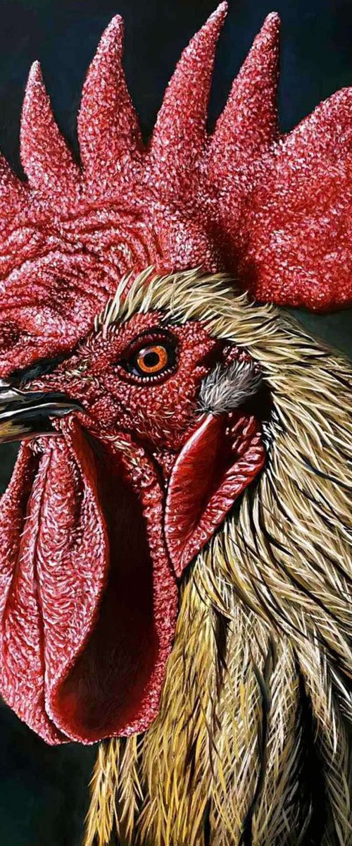 Rooster by Elena Adele Dmitrenko