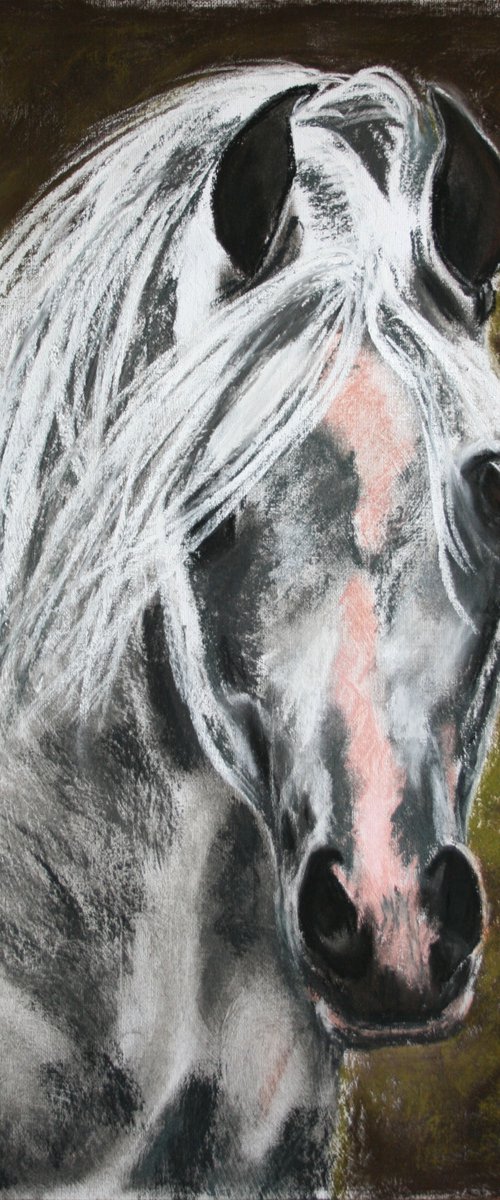 Horse... Portrait I /  ORIGINAL PAINTING by Salana Art / Svetlana Samovarova