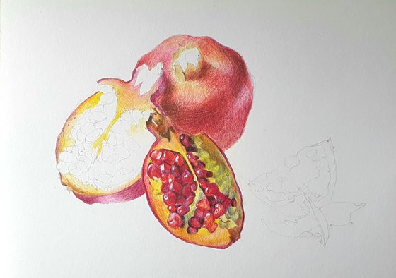 The juicy pulp of pomegranate