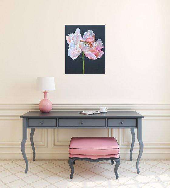 Coral Charm Peony