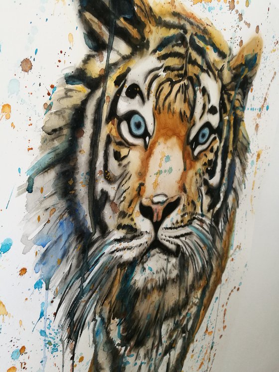 Tiger Splash. Watercolour on paper.