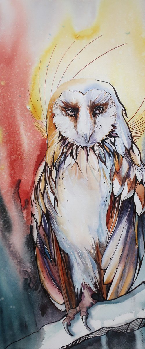 Owl by Alla Vlaskina