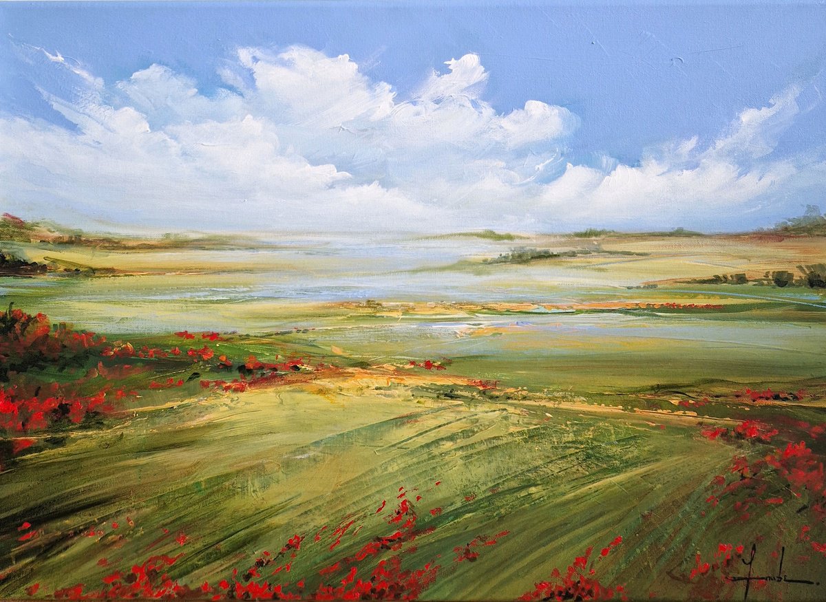  Where The Poppies Dance By Irina Laube, 28 X 20, Artwork For Sale On Artfinder