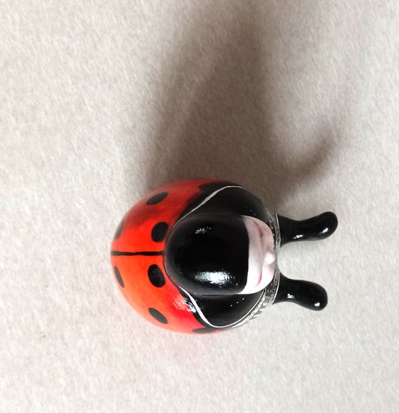 Ladybug-2