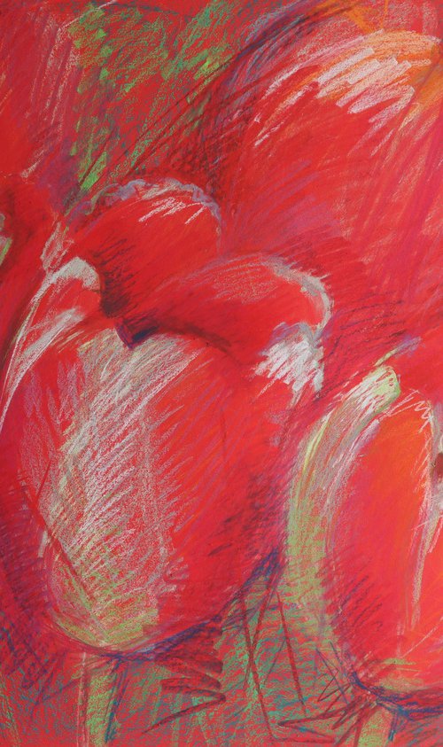 Tulips Red by Rakhmet Redzhepov