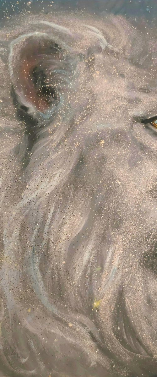 King of the Cosmos by Ellisa Hague