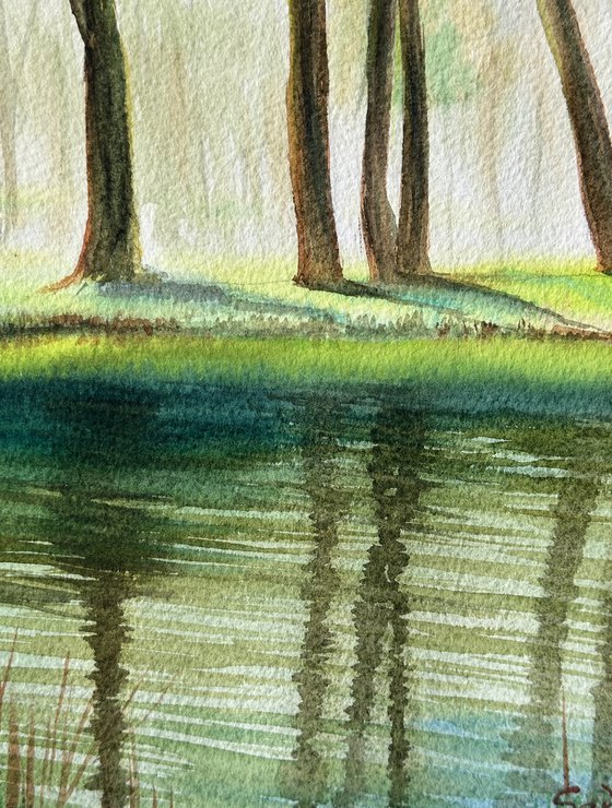 Green Reflections of Spring