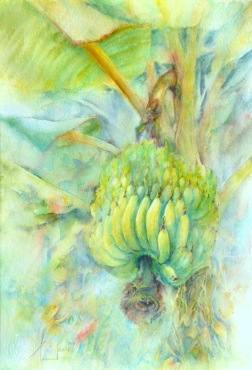 BANANA TREE watercolor 33x47 by Beata van Wijngaarden