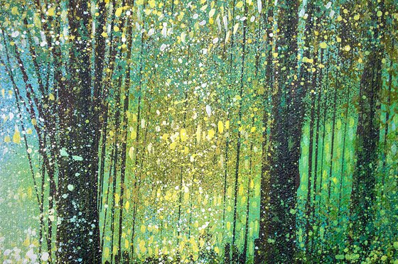 Forest Edge Summer Trees