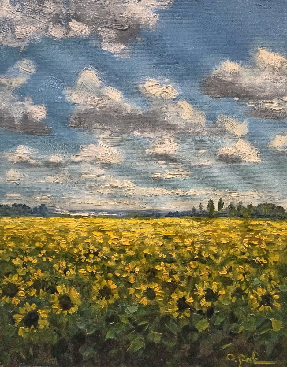 Sunflower Field By Oleh Rak, 12 X 16, Artwork For Sale On Artfinder
