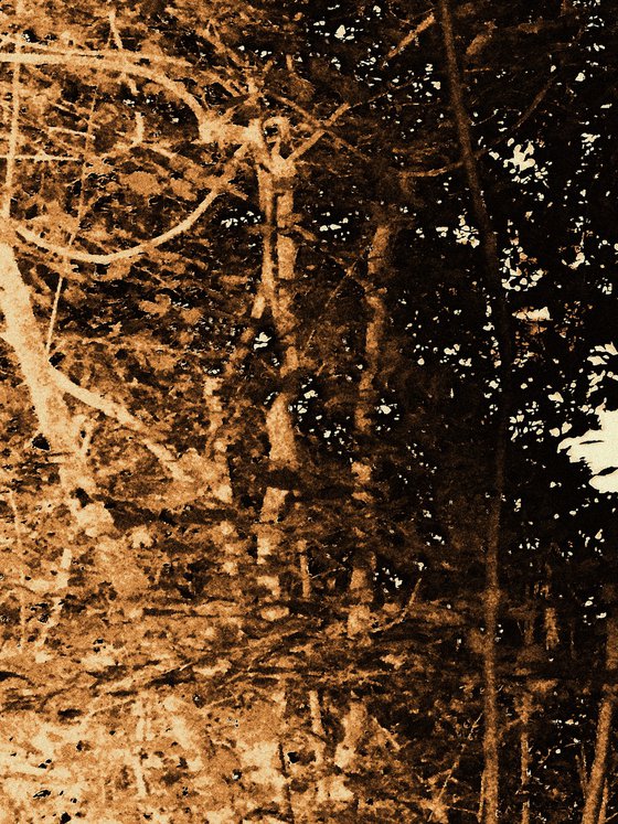 Natural Rhythm 6.
