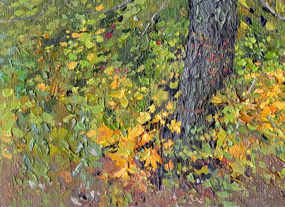 Chestnut tree in autumn. Tsaritsyno