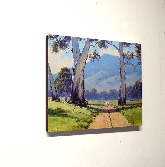 Australian Valley Gum Trees