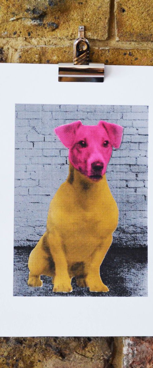 Forget calm, Get a Jack Russel ! - Pink and Brown by Anne Storno