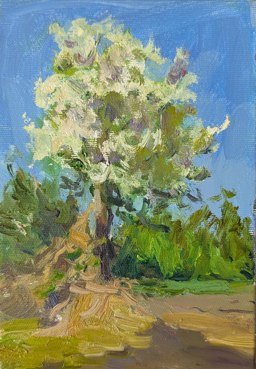 Pear Tree By Olga Samar, 6 X 8, Artwork For Sale On Artfinder