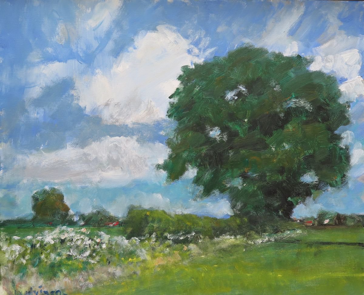 Tree, Sky and Clouds by Malcolm Ludvigsen