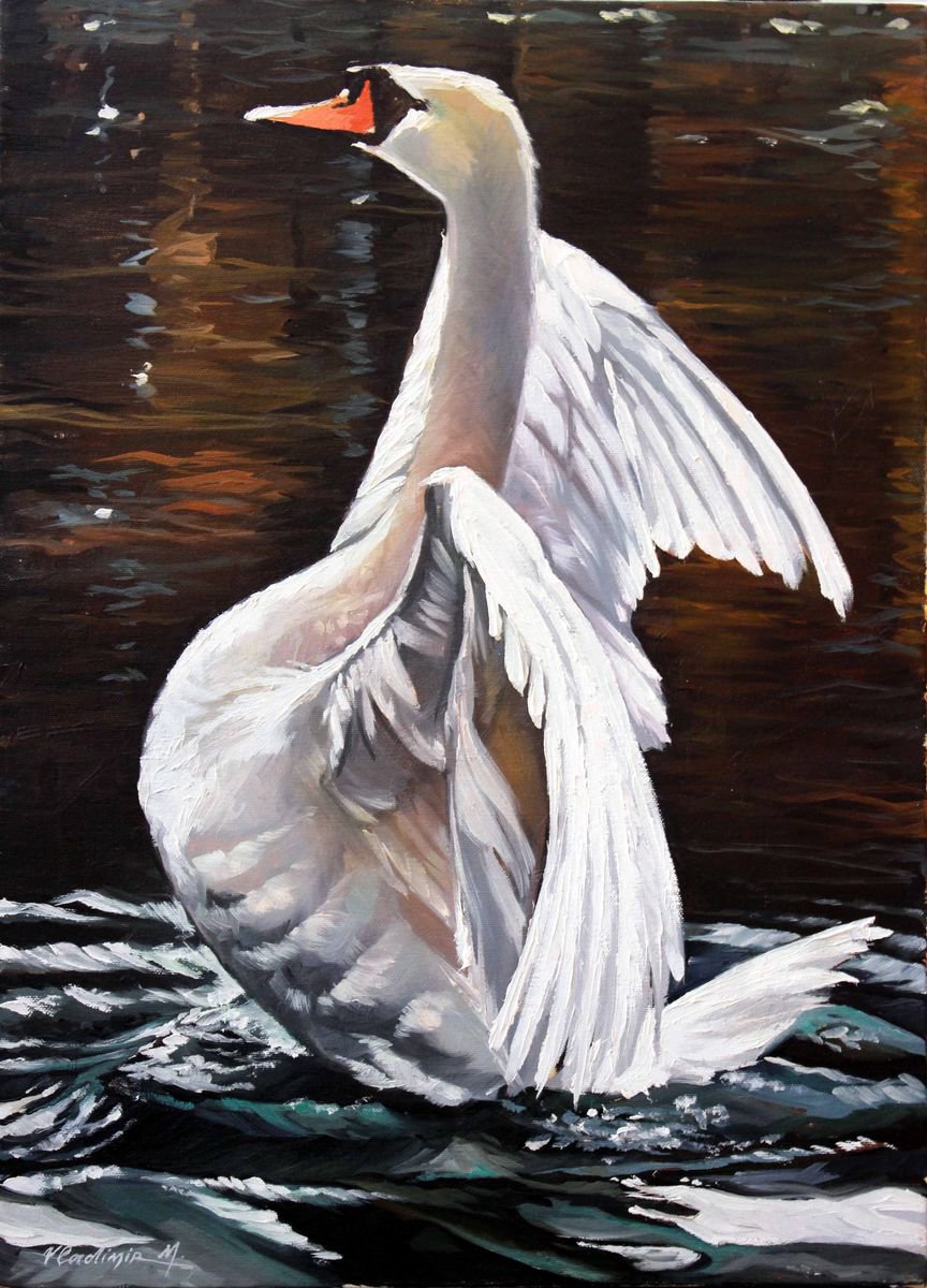 swan by Volodymyr Melnychuk
