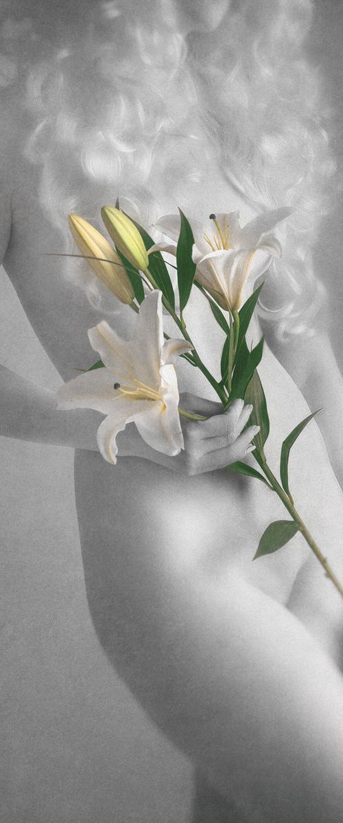 Lily II. - Art Nude by Peter Zelei