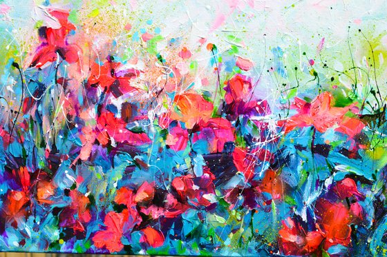 Red Wild Poppies Field at Dusk