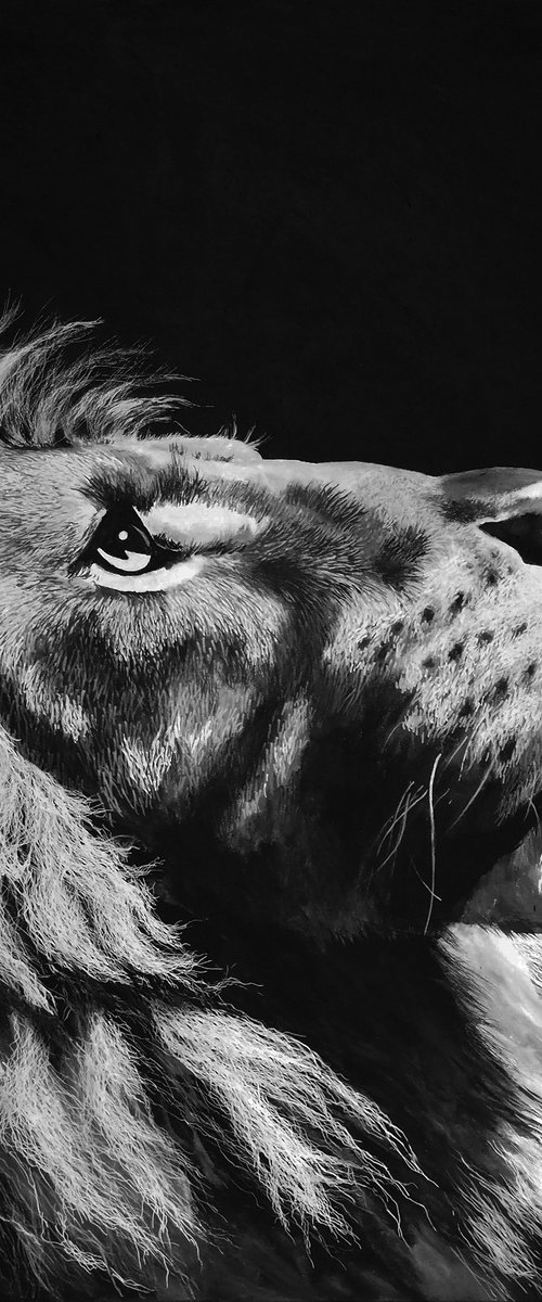 PRIDE by Nicolas GOIA