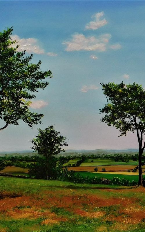 Cheshire Plains by Hazel Thomson