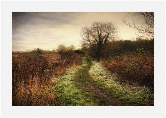 Down the Frosty Path