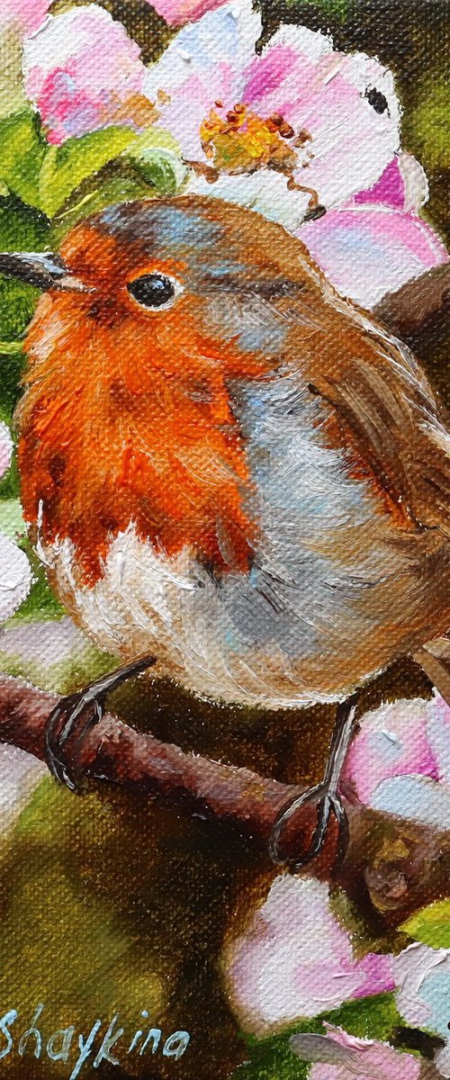 Robin with Apple Blossoms by Natalia Shaykina