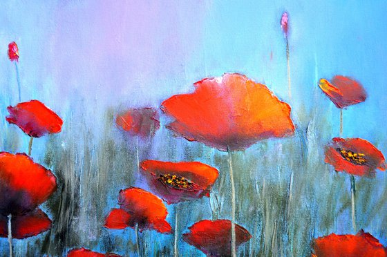 Poppies in the fog