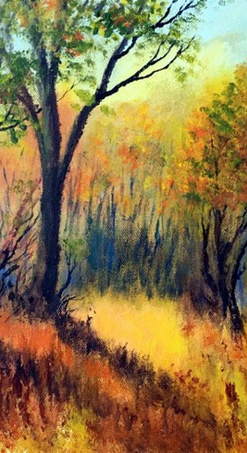 SUNLIGHT IN AUTUMN WOODS by BARBARA  HARLOW