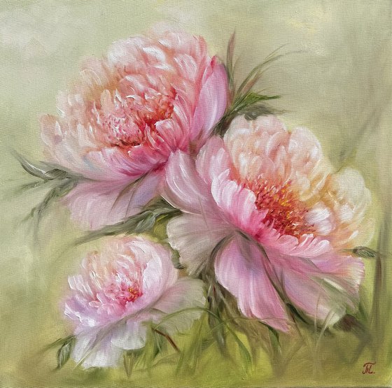 Magic peonies series - Petals of Tenderness