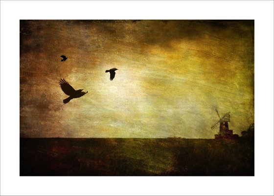Windmill & Birds