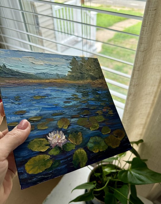 Lily pads at the lake