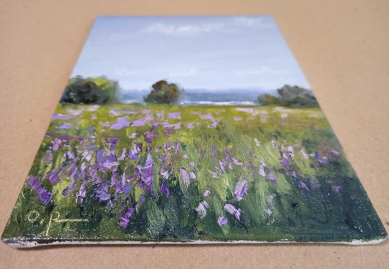 Impression. Flowering meadow