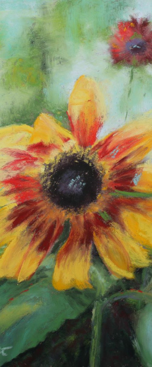 Sunflower 2 by Marion Derrett