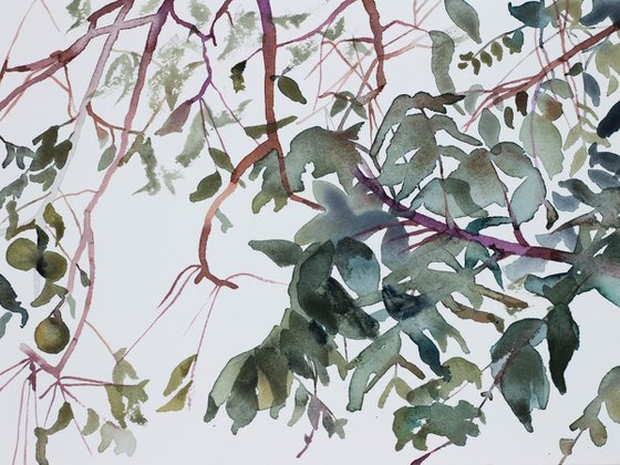 Branch Study No. 1