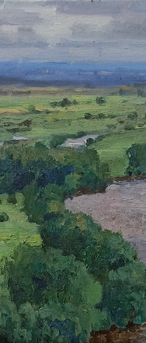 The Toyma River, after the rain by Olga Goryunova