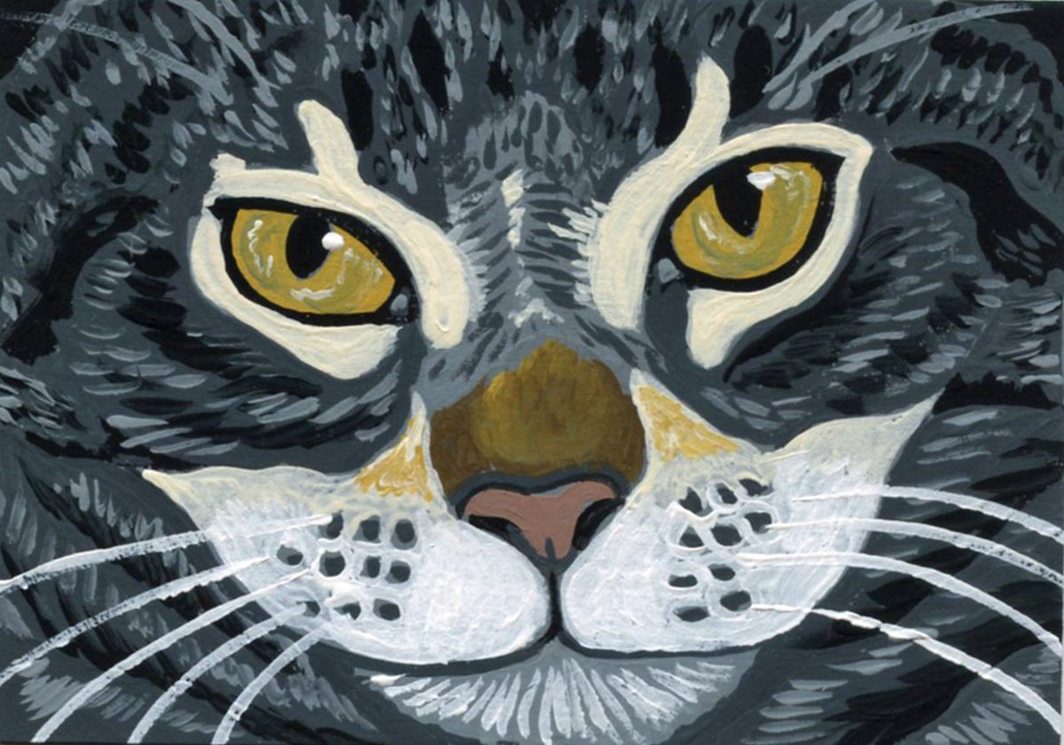 Gray Tabby Cat by Carla Smale