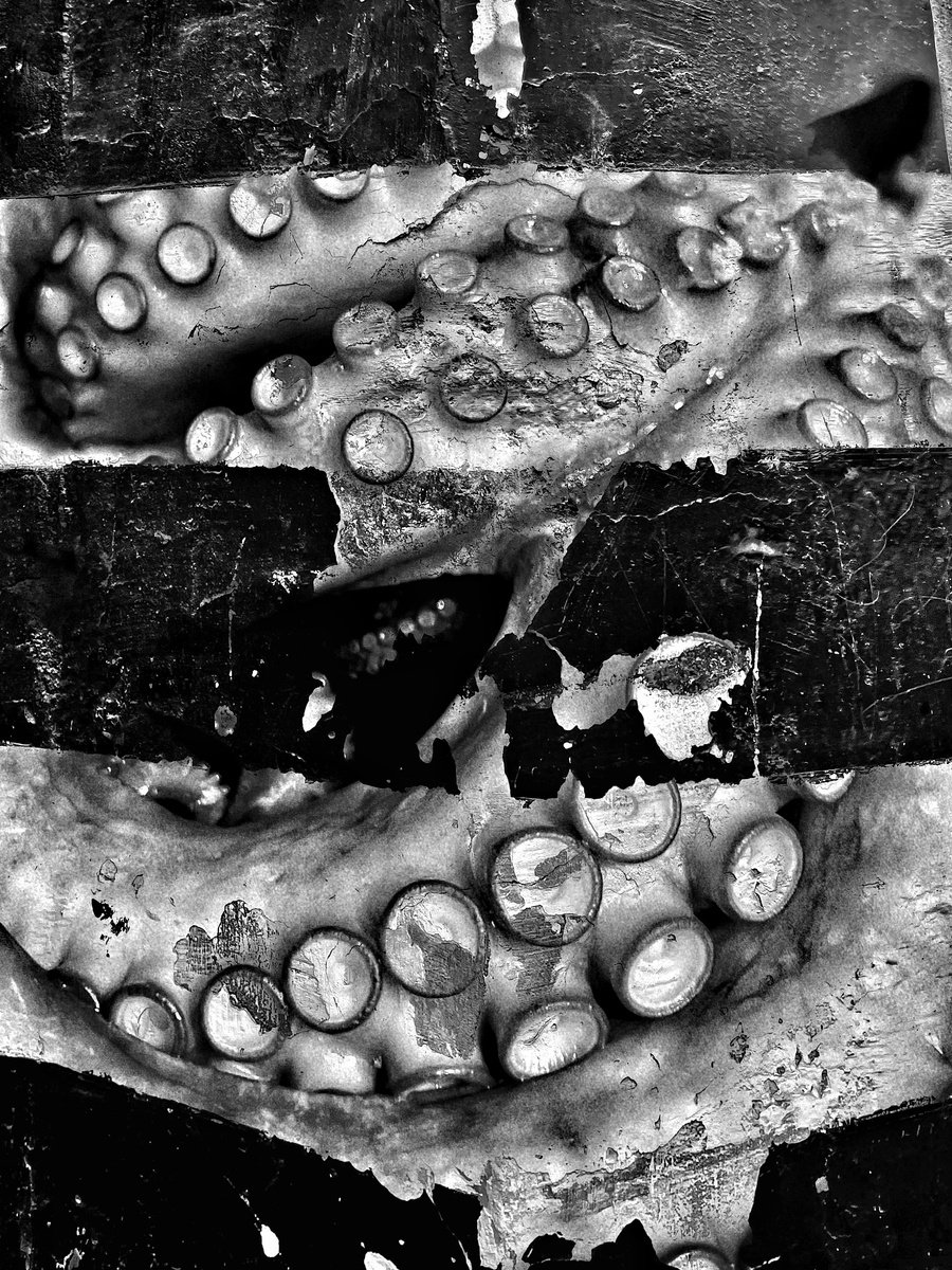 Abstract Photograph By Mattia Paoli, 39 X 52", Abc#210 White And Black Renaissance #3, Original Artwork